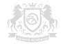 PARMA ACADEMY